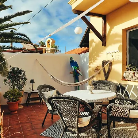 Vino Tinto 2 Icod De Los Vinos