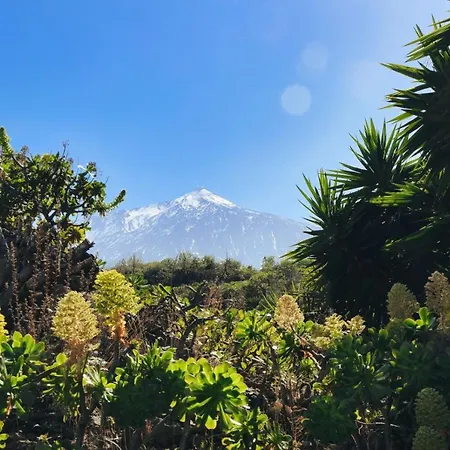 Apartament Vino Tinto 2 Icod De Los Vinos